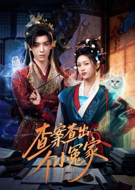 查案查出个小冤家(全集)