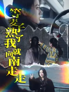 等麦子熟了我就向南走走(全集)
