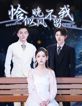 恰似晚风不留我 弃他如风(全集)