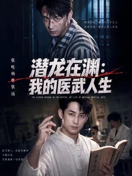 潜龙在渊：我的医武人生(全集)