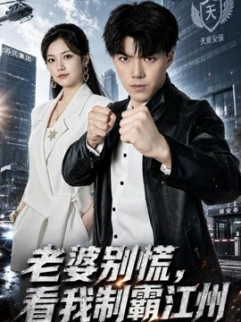 老婆别慌，看我制霸江州(全集)