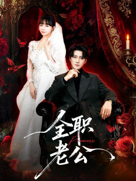 全职老公(全集)